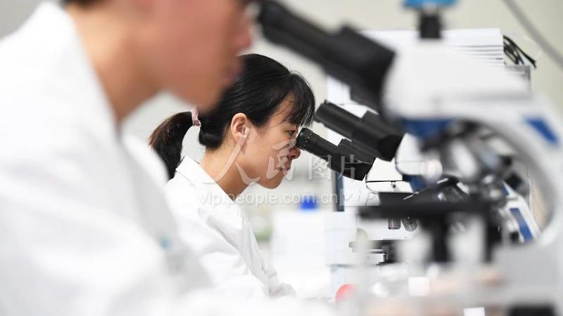 离心管离心力与价格：别让“能装就行”坑了实验