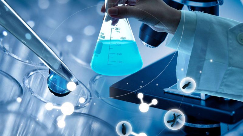 抗体药物研发外包公司：揭秘行业中的十大品牌