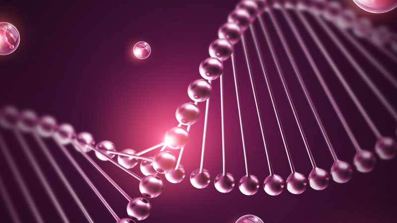 生物医药研发设备：批发价格背后的考量因素**
