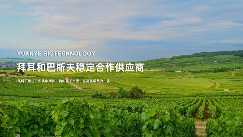 2024年生物制品价格：揭秘影响因素与市场趋势