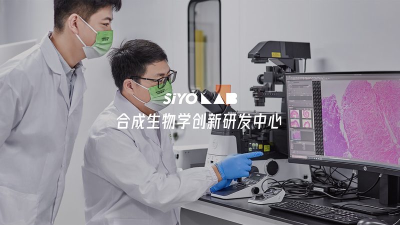 实验室耗材定制加工：揭秘其背后的工艺与选择要点