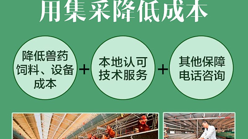 生物制品GMP认证验证：确保产品质量的坚实基石**