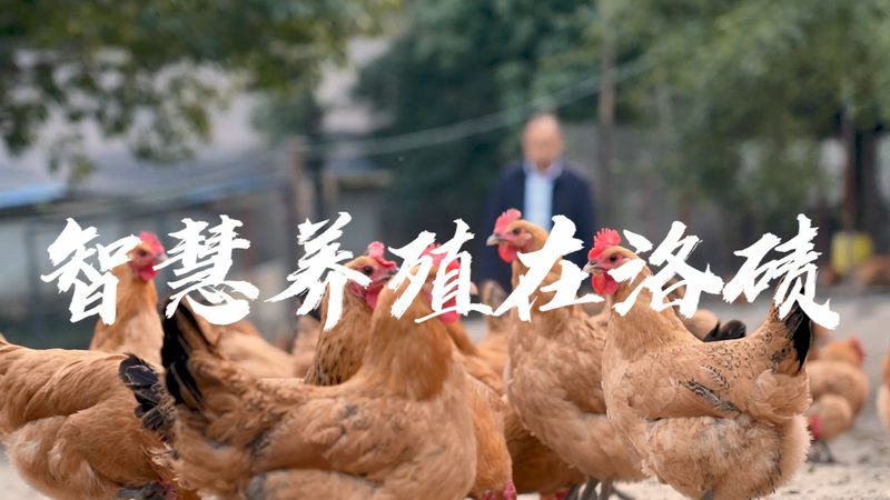 酶制剂储存容器选择：如何确保稳定性和安全性**