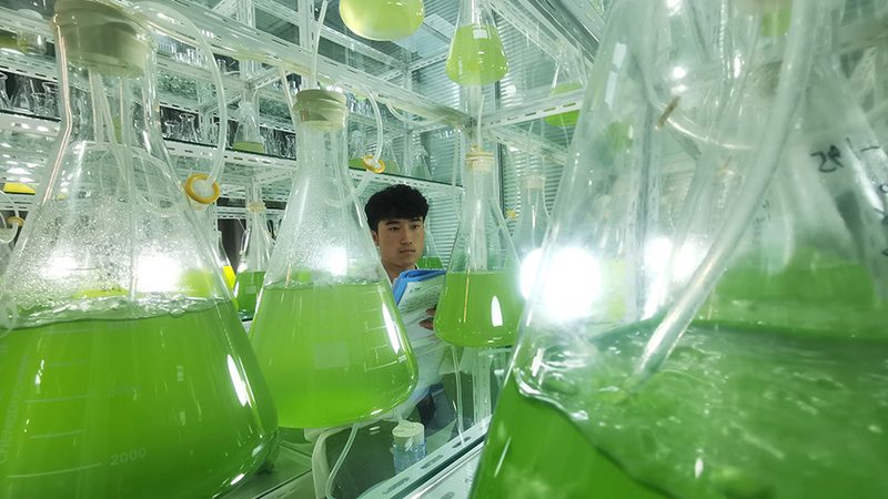 基因测序平台选型的关键要素：从技术到合规